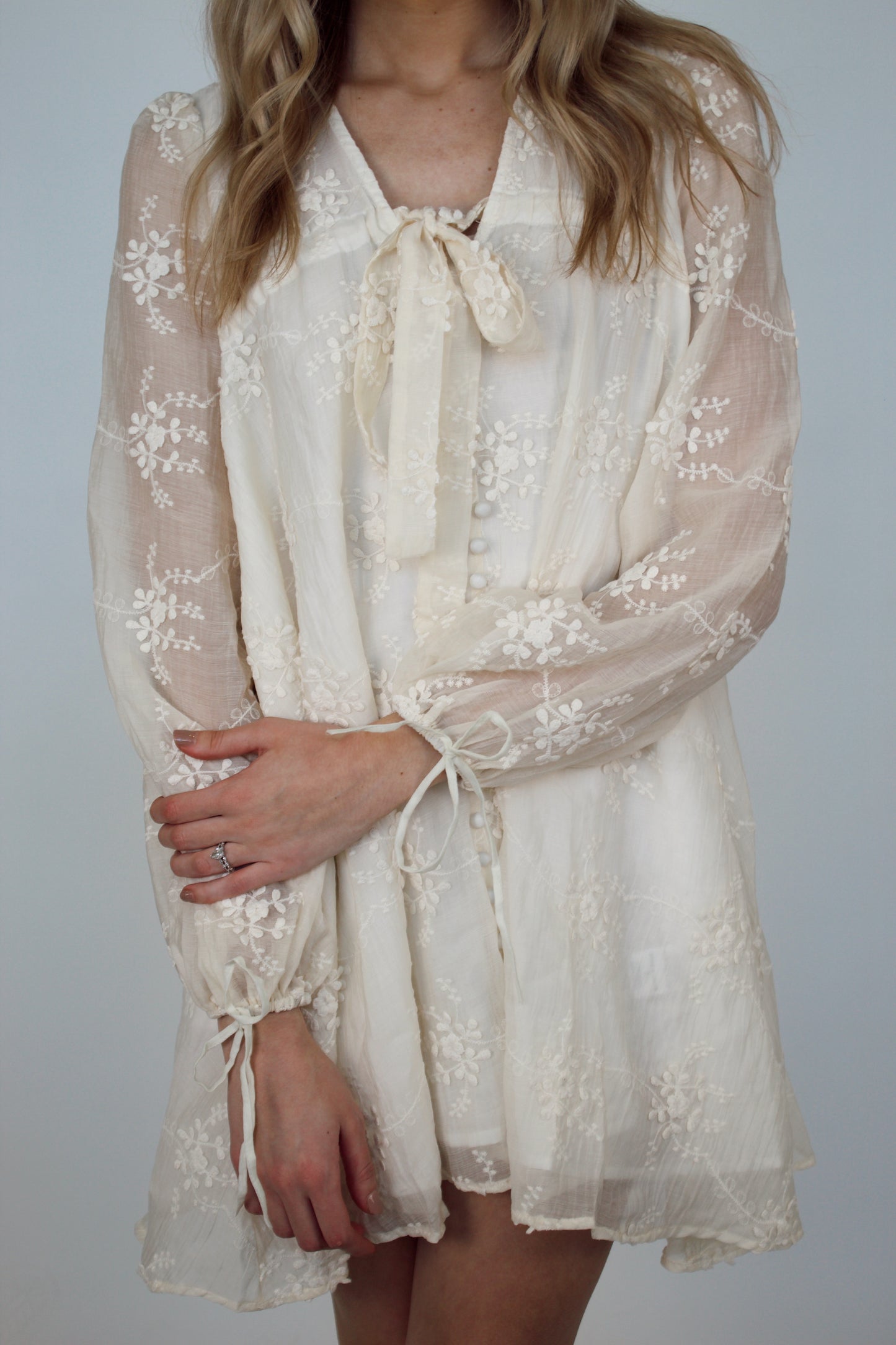 Payette Embroidered Mini Dress