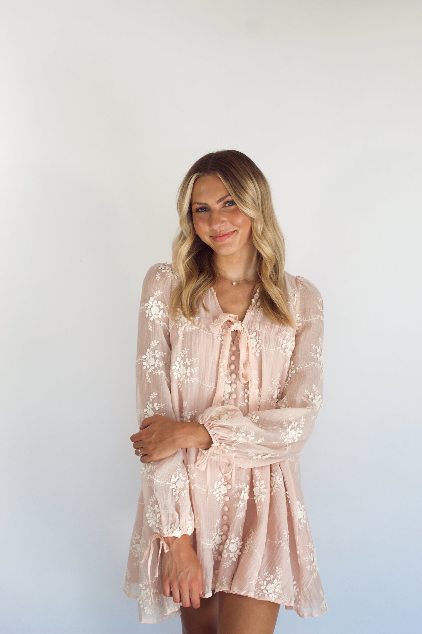 Payette Embroidered Mini Dress