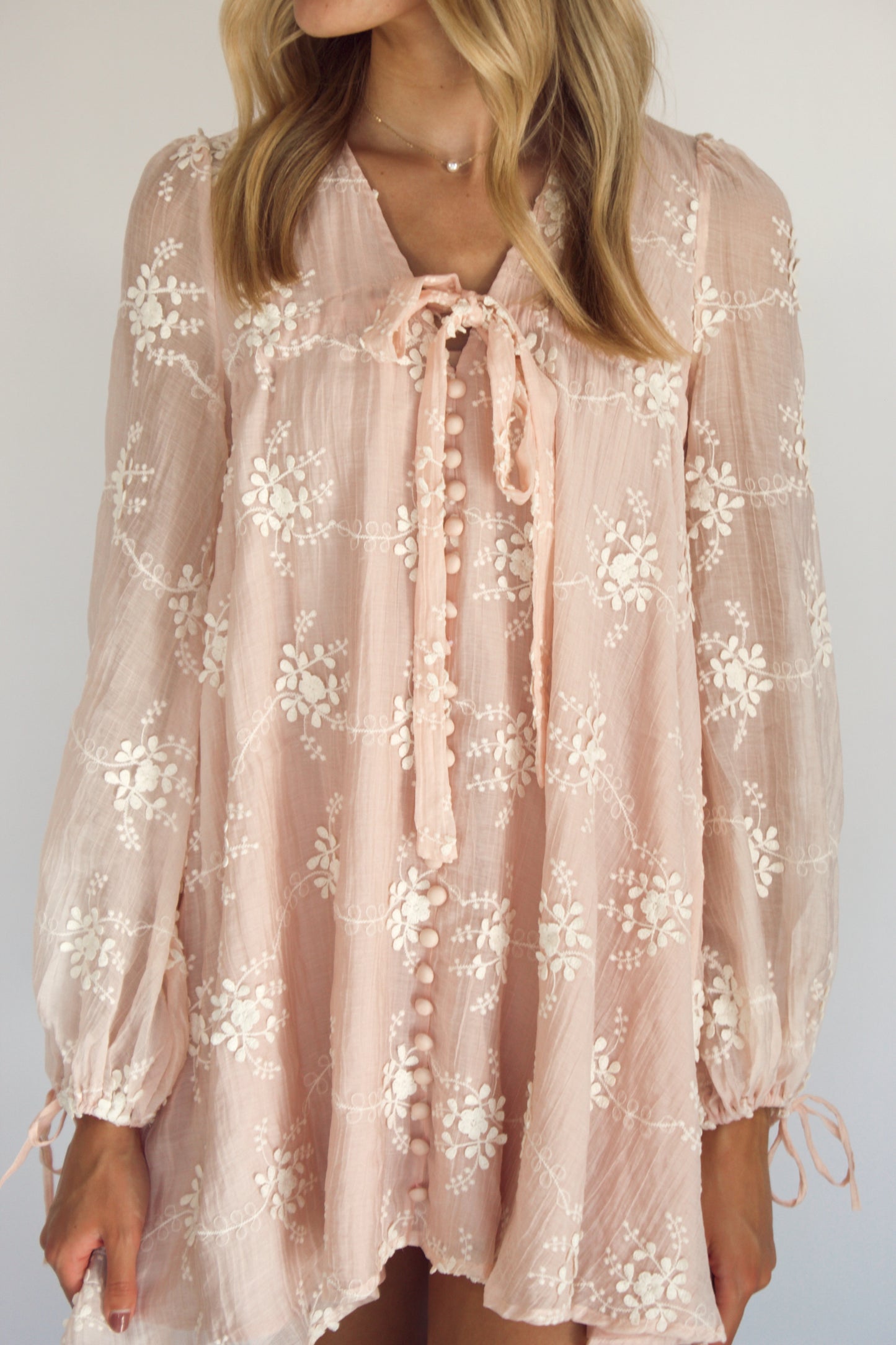 Payette Embroidered Mini Dress