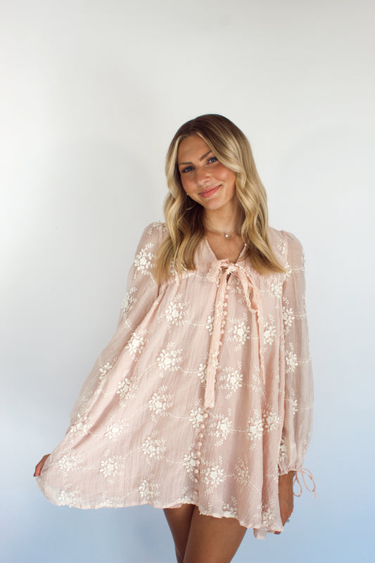 Payette Embroidered Mini Dress