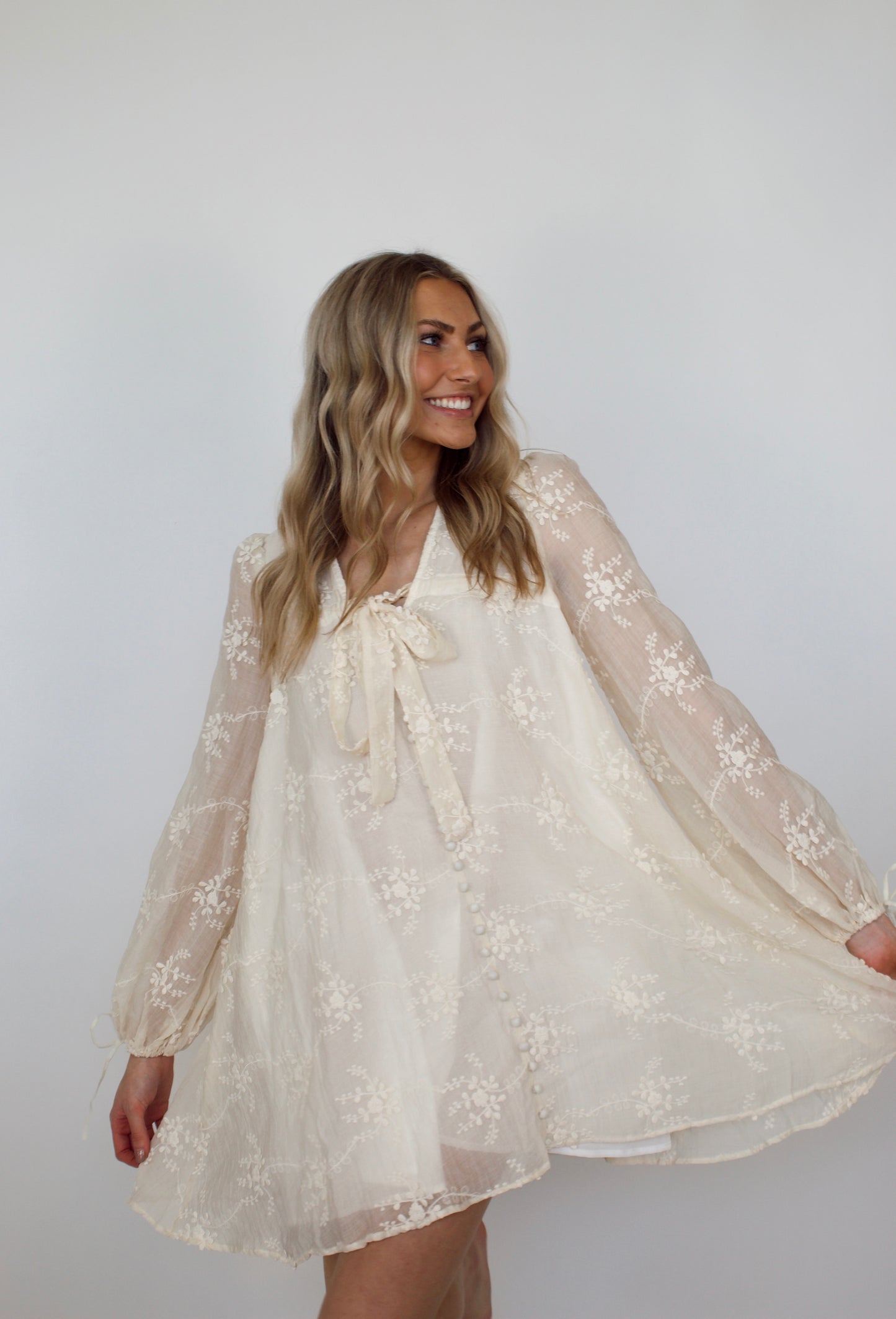 Payette Embroidered Mini Dress