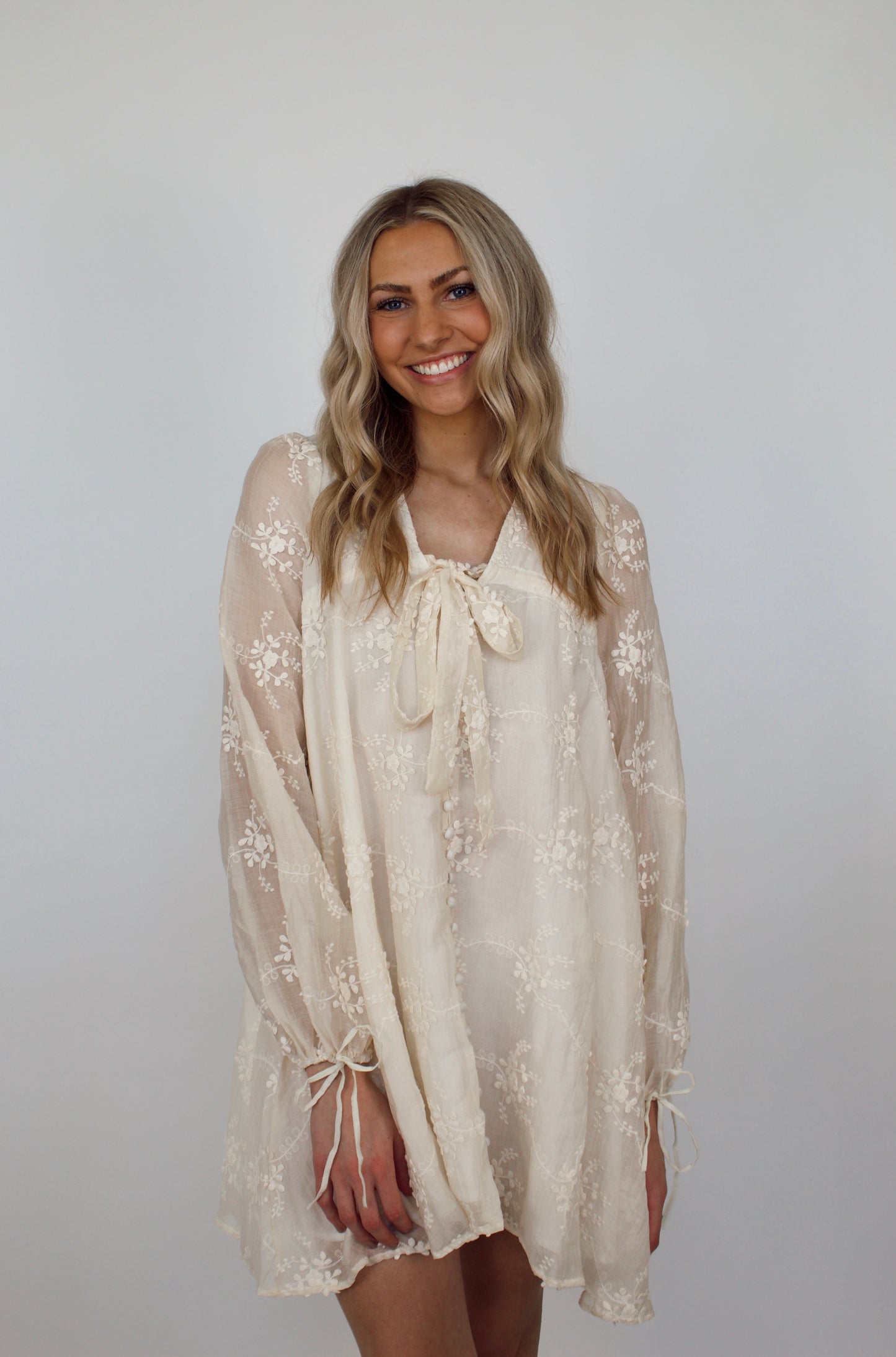 Payette Embroidered Mini Dress