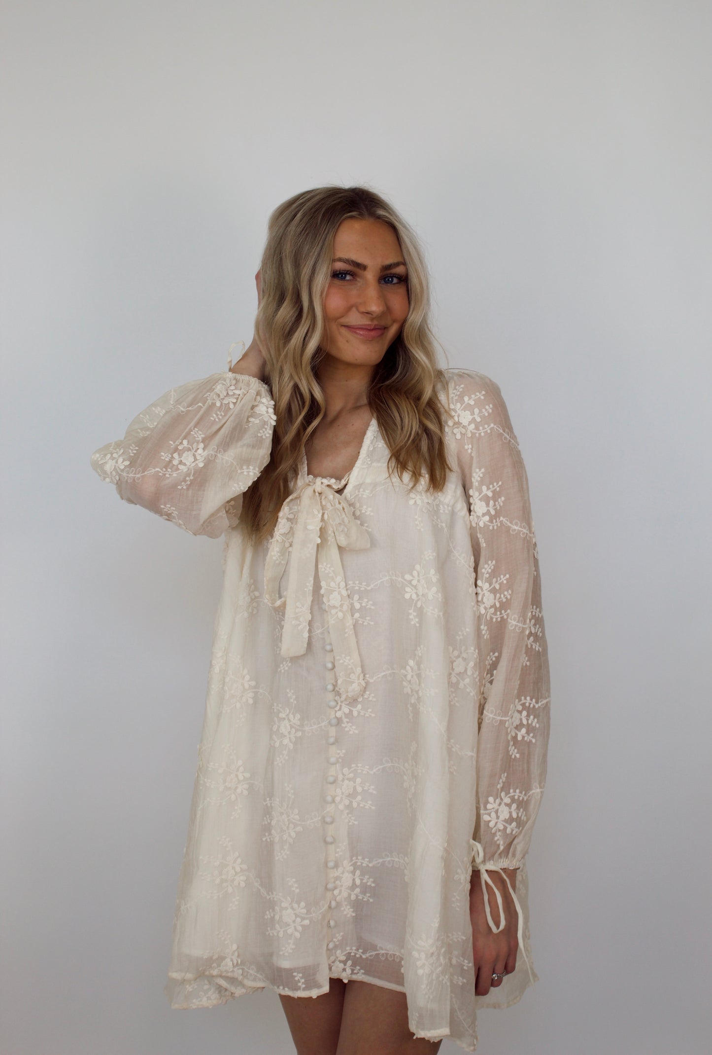 Payette Embroidered Mini Dress